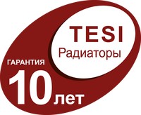  TESI  10 